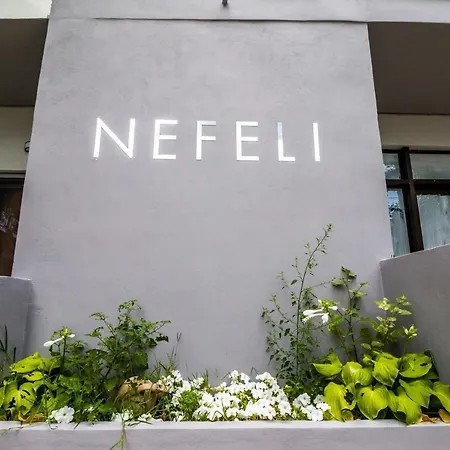 Apartmán Nefeli Vasilikí Exteriér fotografie